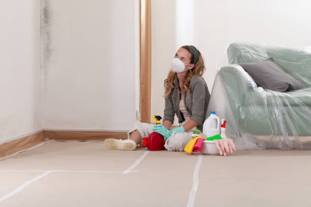 Reliable Mold Remediation contractor in Tall Timbers, MD by WQB Mold Removal